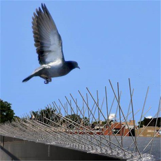 防鳥刺在控制鳥害上有什么優勢